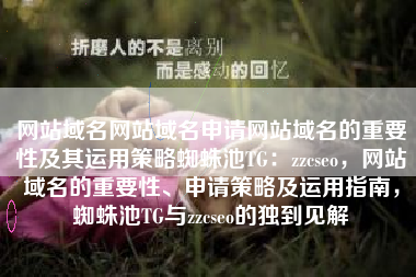 网站域名网站域名申请网站域名的重要性及其运用策略蜘蛛池TG：zzcseo，网站域名的重要性、申请策略及运用指南，蜘蛛池TG与zzcseo的独到见解