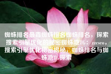 蜘蛛排名最毒蜘蛛排名蜘蛛排名，探索搜索引擎优化的秘密蜘蛛池TG：zzcseo，搜索引擎优化秘密揭秘，蜘蛛排名与蜘蛛池TG探索