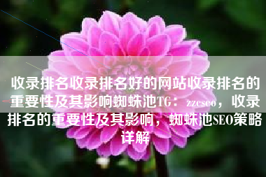 收录排名收录排名好的网站收录排名的重要性及其影响蜘蛛池TG：zzcseo，收录排名的重要性及其影响，蜘蛛池SEO策略详解