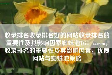 收录排名收录排名好的网站收录排名的重要性及其影响因素蜘蛛池TG：zzcseo，收录排名的重要性及其影响因素，优质网站与蜘蛛池策略