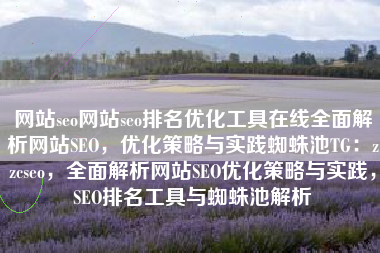 网站seo网站seo排名优化工具在线全面解析网站SEO，优化策略与实践蜘蛛池TG：zzcseo，全面解析网站SEO优化策略与实践，SEO排名工具与蜘蛛池解析