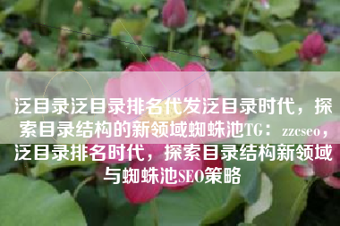 泛目录泛目录排名代发泛目录时代，探索目录结构的新领域蜘蛛池TG：zzcseo，泛目录排名时代，探索目录结构新领域与蜘蛛池SEO策略