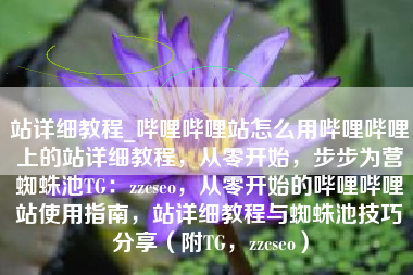 站详细教程_哔哩哔哩站怎么用哔哩哔哩上的站详细教程，从零开始，步步为营蜘蛛池TG：zzcseo，从零开始的哔哩哔哩站使用指南，站详细教程与蜘蛛池技巧分享（附TG，zzcseo）