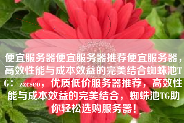 便宜服务器便宜服务器推荐便宜服务器，高效性能与成本效益的完美结合蜘蛛池TG：zzcseo，优质低价服务器推荐，高效性能与成本效益的完美结合，蜘蛛池TG助你轻松选购服务器！