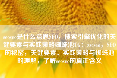 seoseo是什么意思SEO，搜索引擎优化的关键要素与实践策略蜘蛛池TG：zzcseo，SEO的秘密，关键要素、实践策略与蜘蛛池的理解，了解seoseo的真正含义