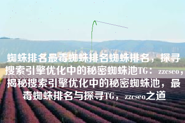 蜘蛛排名最毒蜘蛛排名蜘蛛排名，探寻搜索引擎优化中的秘密蜘蛛池TG：zzcseo，揭秘搜索引擎优化中的秘密蜘蛛池，最毒蜘蛛排名与探寻TG，zzcseo之道
