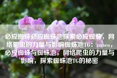 必应蜘蛛必应蜘蛛池探索必应蜘蛛，网络爬虫的力量与影响蜘蛛池TG：zzcseo，必应蜘蛛与蜘蛛池，网络爬虫的力量与影响，探索蜘蛛池TG的秘密