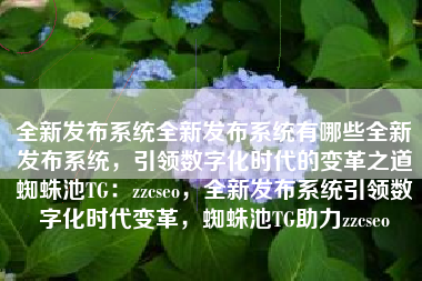 全新发布系统全新发布系统有哪些全新发布系统，引领数字化时代的变革之道蜘蛛池TG：zzcseo，全新发布系统引领数字化时代变革，蜘蛛池TG助力zzcseo