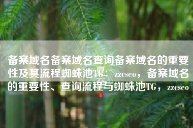 备案域名备案域名查询备案域名的重要性及其流程蜘蛛池TG：zzcseo，备案域名的重要性、查询流程与蜘蛛池TG，zzcseo