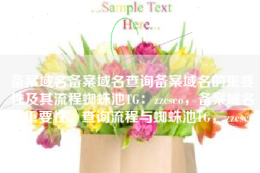 备案域名备案域名查询备案域名的重要性及其流程蜘蛛池TG：zzcseo，备案域名的重要性、查询流程与蜘蛛池TG，zzcseo