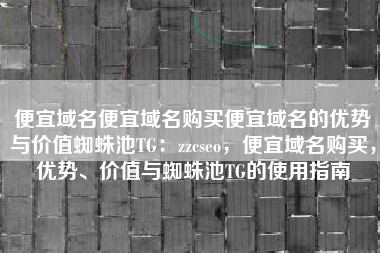 便宜域名便宜域名购买便宜域名的优势与价值蜘蛛池TG：zzcseo，便宜域名购买，优势、价值与蜘蛛池TG的使用指南