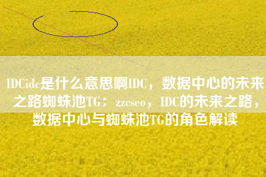 IDCidc是什么意思啊IDC，数据中心的未来之路蜘蛛池TG：zzcseo，IDC的未来之路，数据中心与蜘蛛池TG的角色解读