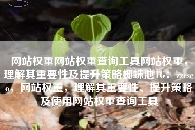 网站权重网站权重查询工具网站权重，理解其重要性及提升策略蜘蛛池TG：zzcseo，网站权重，理解其重要性、提升策略及使用网站权重查询工具