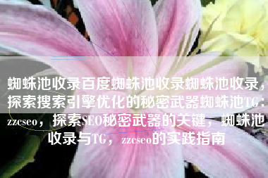 蜘蛛池收录百度蜘蛛池收录蜘蛛池收录，探索搜索引擎优化的秘密武器蜘蛛池TG：zzcseo，探索SEO秘密武器的关键，蜘蛛池收录与TG，zzcseo的实践指南