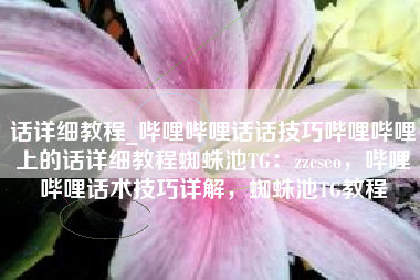 话详细教程_哔哩哔哩话话技巧哔哩哔哩上的话详细教程蜘蛛池TG：zzcseo，哔哩哔哩话术技巧详解，蜘蛛池TG教程