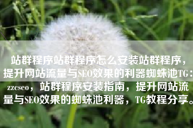 站群程序站群程序怎么安装站群程序，提升网站流量与SEO效果的利器蜘蛛池TG：zzcseo，站群程序安装指南，提升网站流量与SEO效果的蜘蛛池利器，TG教程分享。