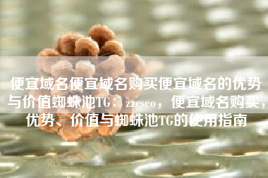 便宜域名便宜域名购买便宜域名的优势与价值蜘蛛池TG：zzcseo，便宜域名购买，优势、价值与蜘蛛池TG的使用指南