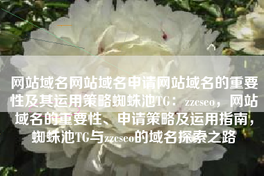 网站域名网站域名申请网站域名的重要性及其运用策略蜘蛛池TG：zzcseo，网站域名的重要性、申请策略及运用指南，蜘蛛池TG与zzcseo的域名探索之路