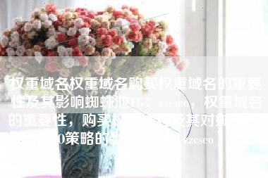 权重域名权重域名购买权重域名的重要性及其影响蜘蛛池TG：zzcseo，权重域名的重要性，购买权重域名及其对蜘蛛池SEO策略的影响（TG，zzcseo）