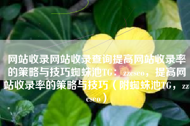 网站收录网站收录查询提高网站收录率的策略与技巧蜘蛛池TG：zzcseo，提高网站收录率的策略与技巧（附蜘蛛池TG，zzcseo）