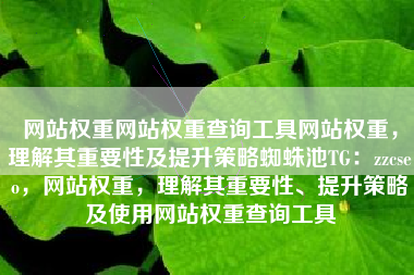 网站权重网站权重查询工具网站权重，理解其重要性及提升策略蜘蛛池TG：zzcseo，网站权重，理解其重要性、提升策略及使用网站权重查询工具
