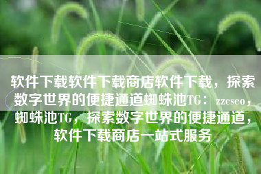 软件下载软件下载商店软件下载，探索数字世界的便捷通道蜘蛛池TG：zzcseo，蜘蛛池TG，探索数字世界的便捷通道，软件下载商店一站式服务