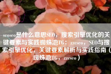seoseo是什么意思SEO，搜索引擎优化的关键要素与实践蜘蛛池TG：zzcseo，SEO与搜索引擎优化，关键要素解析与实践指南（蜘蛛池TG，zzcseo）