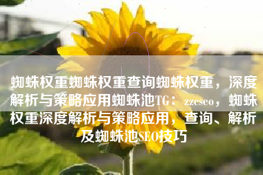 蜘蛛权重蜘蛛权重查询蜘蛛权重，深度解析与策略应用蜘蛛池TG：zzcseo，蜘蛛权重深度解析与策略应用，查询、解析及蜘蛛池SEO技巧