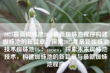 2025最新蜘蛛池2025最新蜘蛛池程序构建蜘蛛池的新篇章，探索2025年最新蜘蛛池技术蜘蛛池TG：zzcseo，探索未来蜘蛛池技术，构建蜘蛛池的新篇章与最新蜘蛛池程序