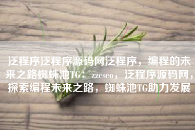 泛程序泛程序源码网泛程序，编程的未来之路蜘蛛池TG：zzcseo，泛程序源码网，探索编程未来之路，蜘蛛池TG助力发展