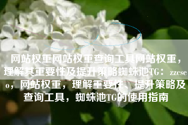 网站权重网站权重查询工具网站权重，理解其重要性及提升策略蜘蛛池TG：zzcseo，网站权重，理解重要性、提升策略及查询工具，蜘蛛池TG的使用指南
