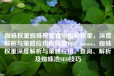 蜘蛛权重蜘蛛权重查询蜘蛛权重，深度解析与策略应用蜘蛛池TG：zzcseo，蜘蛛权重深度解析与策略应用，查询、解析及蜘蛛池SEO技巧