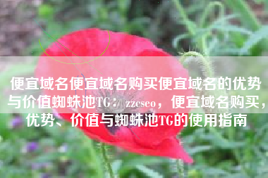 便宜域名便宜域名购买便宜域名的优势与价值蜘蛛池TG：zzcseo，便宜域名购买，优势、价值与蜘蛛池TG的使用指南