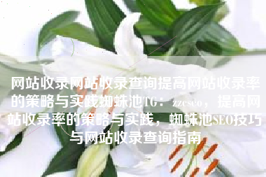 网站收录网站收录查询提高网站收录率的策略与实践蜘蛛池TG：zzcseo，提高网站收录率的策略与实践，蜘蛛池SEO技巧与网站收录查询指南
