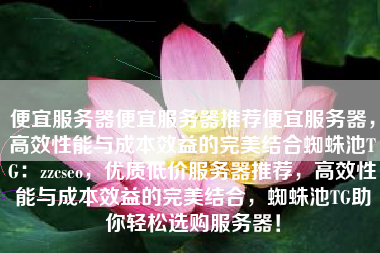 便宜服务器便宜服务器推荐便宜服务器，高效性能与成本效益的完美结合蜘蛛池TG：zzcseo，优质低价服务器推荐，高效性能与成本效益的完美结合，蜘蛛池TG助你轻松选购服务器！