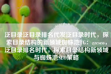 泛目录泛目录排名代发泛目录时代，探索目录结构的新领域蜘蛛池TG：zzcseo，泛目录排名时代，探索目录结构新领域与蜘蛛池SEO策略