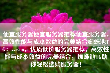 便宜服务器便宜服务器推荐便宜服务器，高效性能与成本效益的完美结合蜘蛛池TG：zzcseo，优质低价服务器推荐，高效性能与成本效益的完美结合，蜘蛛池TG助你轻松选购服务器！