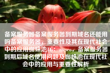 备案服务器备案服务器到期域名还能用吗备案服务器，重要性及其在现代社会中的应用蜘蛛池TG：zzcseo，备案服务器到期后域名使用问题及蜘蛛池在现代社会中的应用与重要性解析
