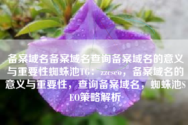 备案域名备案域名查询备案域名的意义与重要性蜘蛛池TG：zzcseo，备案域名的意义与重要性，查询备案域名，蜘蛛池SEO策略解析