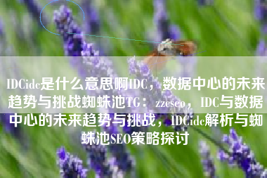 IDCidc是什么意思啊IDC，数据中心的未来趋势与挑战蜘蛛池TG：zzcseo，IDC与数据中心的未来趋势与挑战，IDCidc解析与蜘蛛池SEO策略探讨