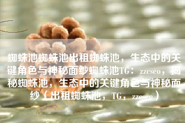 蜘蛛池蜘蛛池出租蜘蛛池，生态中的关键角色与神秘面纱蜘蛛池TG：zzcseo，揭秘蜘蛛池，生态中的关键角色与神秘面纱（出租蜘蛛池，TG，zzcseo）