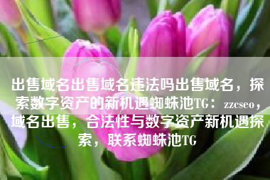 出售域名出售域名违法吗出售域名，探索数字资产的新机遇蜘蛛池TG：zzcseo，域名出售，合法性与数字资产新机遇探索，联系蜘蛛池TG