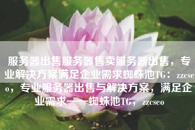 服务器出售服务器售卖服务器出售，专业解决方案满足企业需求蜘蛛池TG：zzcseo，专业服务器出售与解决方案，满足企业需求——蜘蛛池TG，zzcseo