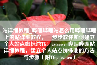 站详细教程_哔哩哔哩站怎么用哔哩哔哩上的站详细教程，一步步教你如何建立个人站点蜘蛛池TG：zzcseo，哔哩哔哩站详细教程，建立个人站点蜘蛛池的方法与步骤（附TG，zzcseo）