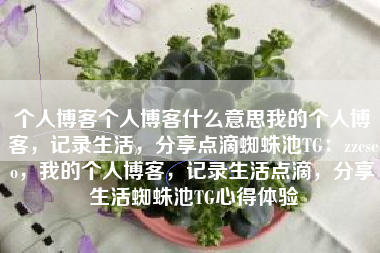 个人博客个人博客什么意思我的个人博客，记录生活，分享点滴蜘蛛池TG：zzcseo，我的个人博客，记录生活点滴，分享生活蜘蛛池TG心得体验