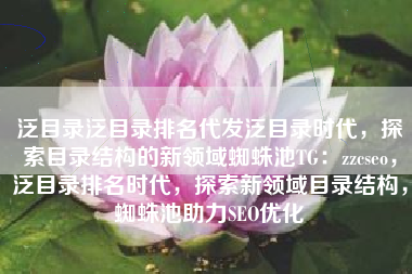 泛目录泛目录排名代发泛目录时代，探索目录结构的新领域蜘蛛池TG：zzcseo，泛目录排名时代，探索新领域目录结构，蜘蛛池助力SEO优化