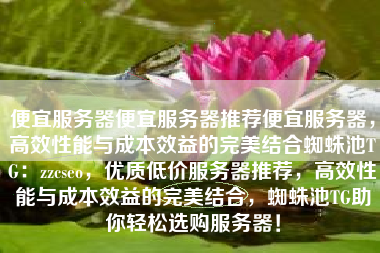 便宜服务器便宜服务器推荐便宜服务器，高效性能与成本效益的完美结合蜘蛛池TG：zzcseo，优质低价服务器推荐，高效性能与成本效益的完美结合，蜘蛛池TG助你轻松选购服务器！