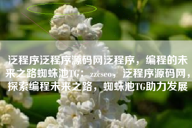 泛程序泛程序源码网泛程序，编程的未来之路蜘蛛池TG：zzcseo，泛程序源码网，探索编程未来之路，蜘蛛池TG助力发展