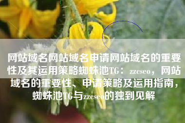 网站域名网站域名申请网站域名的重要性及其运用策略蜘蛛池TG：zzcseo，网站域名的重要性、申请策略及运用指南，蜘蛛池TG与zzcseo的独到见解