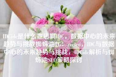 IDCidc是什么意思啊IDC，数据中心的未来趋势与挑战蜘蛛池TG：zzcseo，IDC与数据中心的未来趋势与挑战，IDCidc解析与蜘蛛池SEO策略探讨